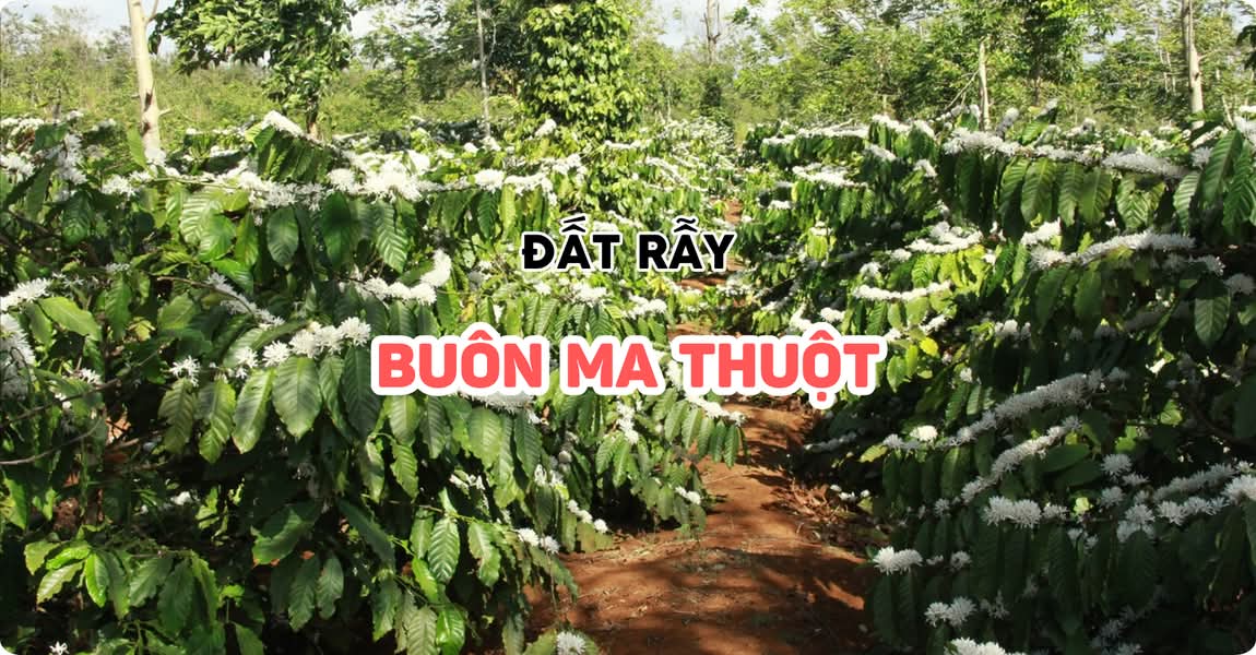 Đất rẫy Buôn Ma Thuột Đắk Lắk