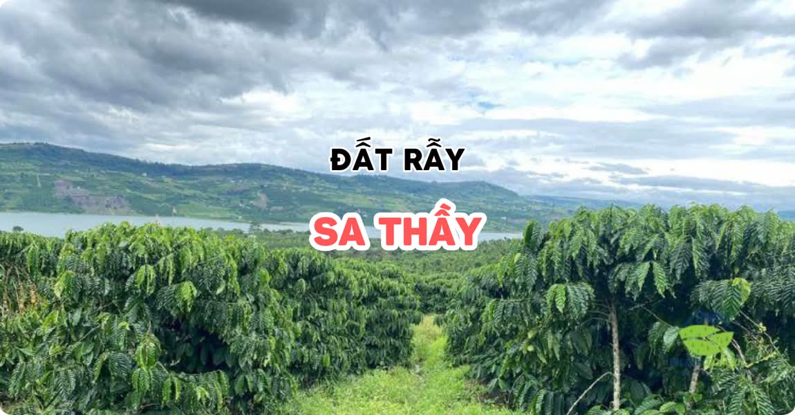 Đất rẫy Sa Thầy Kon Tum