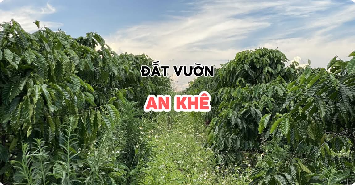 Đất vườn An Khê Gia Lai