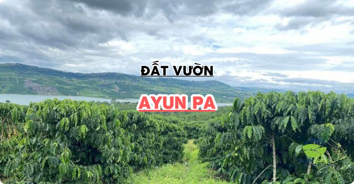 Đất vườn Ayun Pa Gia Lai