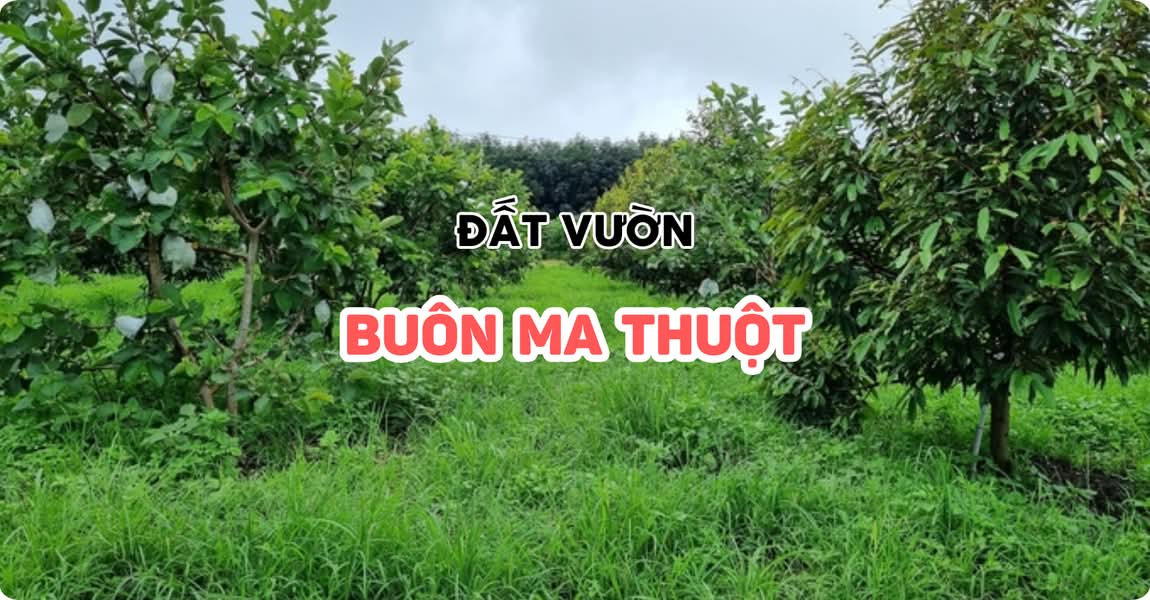 Đất vườn Buôn Ma Thuột Đắk Lắk