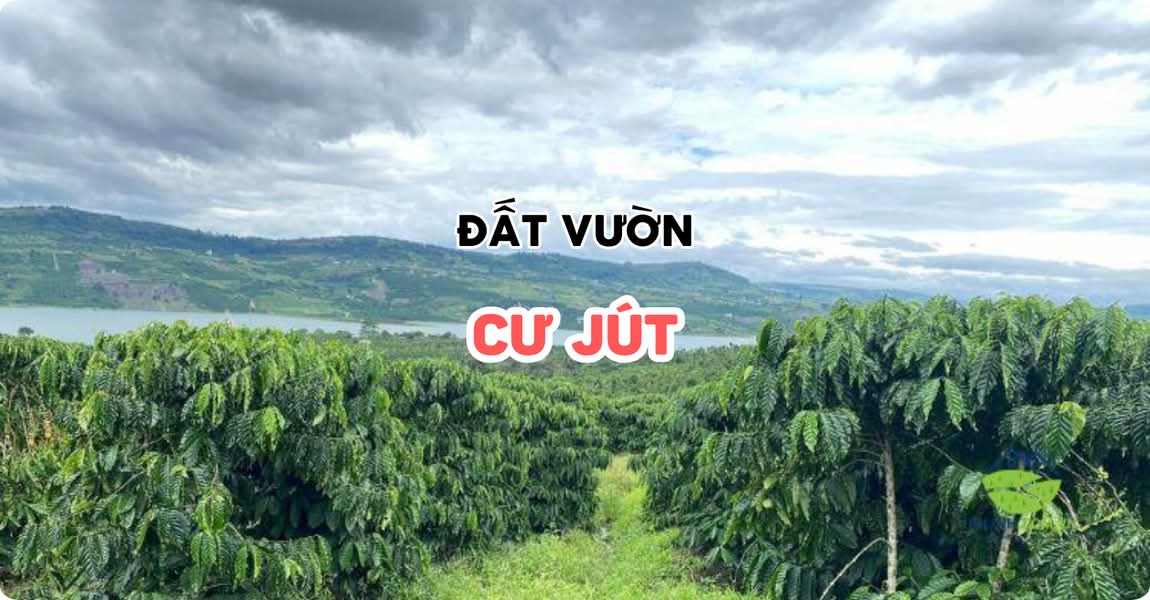 Đất vườn Cư Jút Đắk Nông