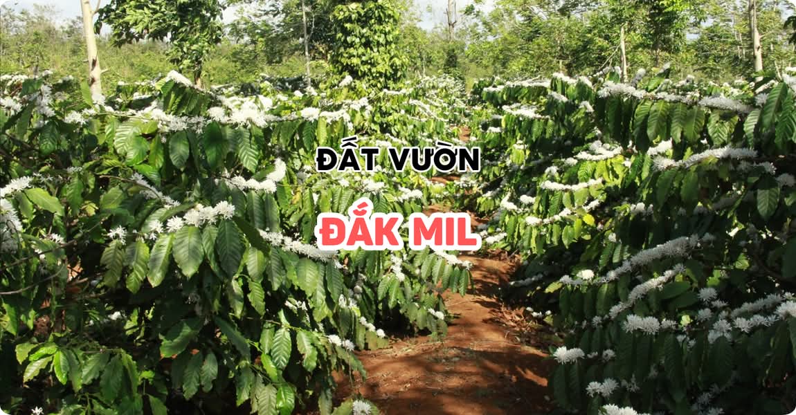 Đất vườn Đắk Mil Đắk Nông