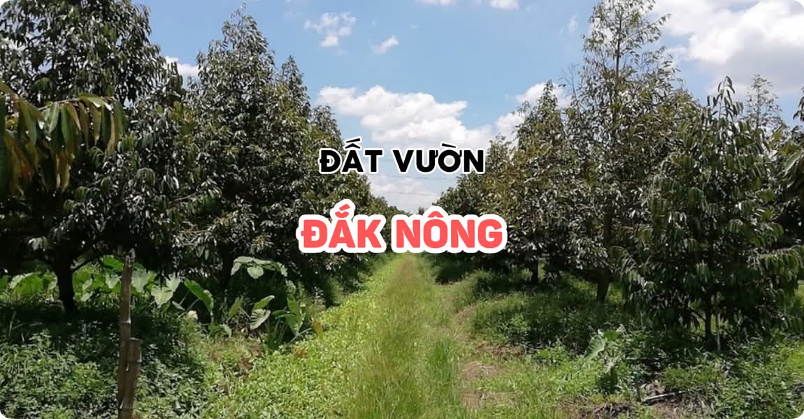 Đất vườn Đắk Nông