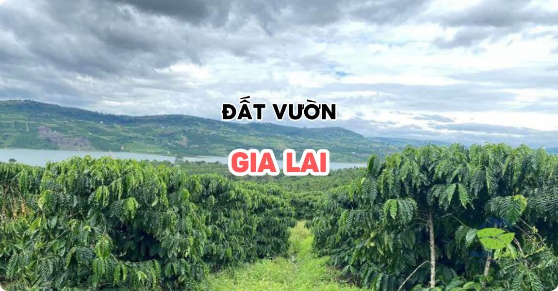Đất vườn Gia Lai