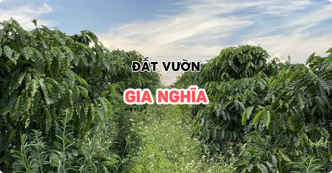 Đất vườn Gia Nghĩa Đắk Nông