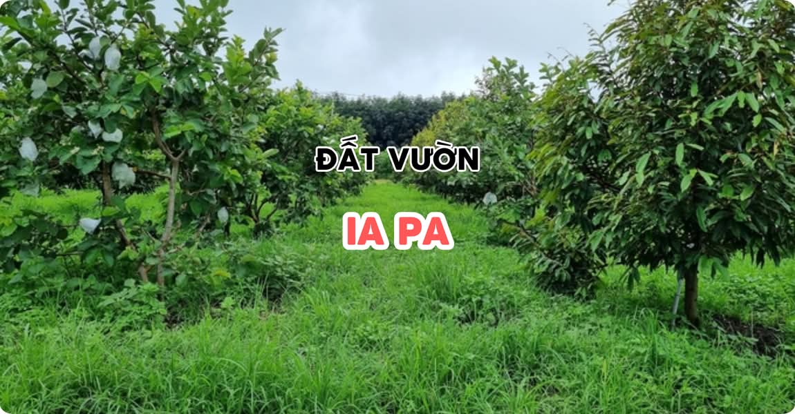 Đất vườn Ia Pa Gia Lai