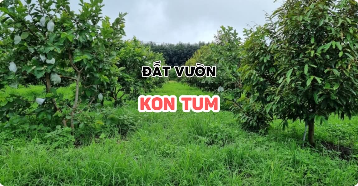 Đất vườn Kon Tum