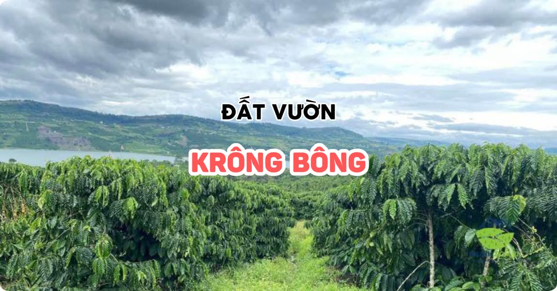 Đất vườn Krông Bông Đắk Lắk