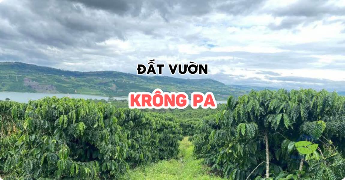 Đất vườn Krông Pa Gia Lai