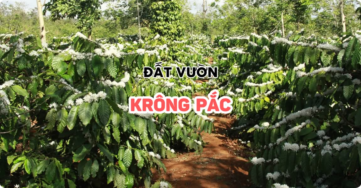 Đất vườn Krông Pắc
