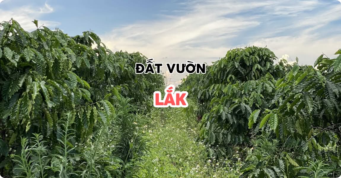 Đất vườn Lắk Đắk Lắk