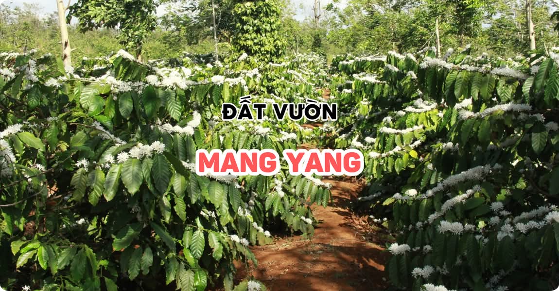 Đất vườn Mang Yang