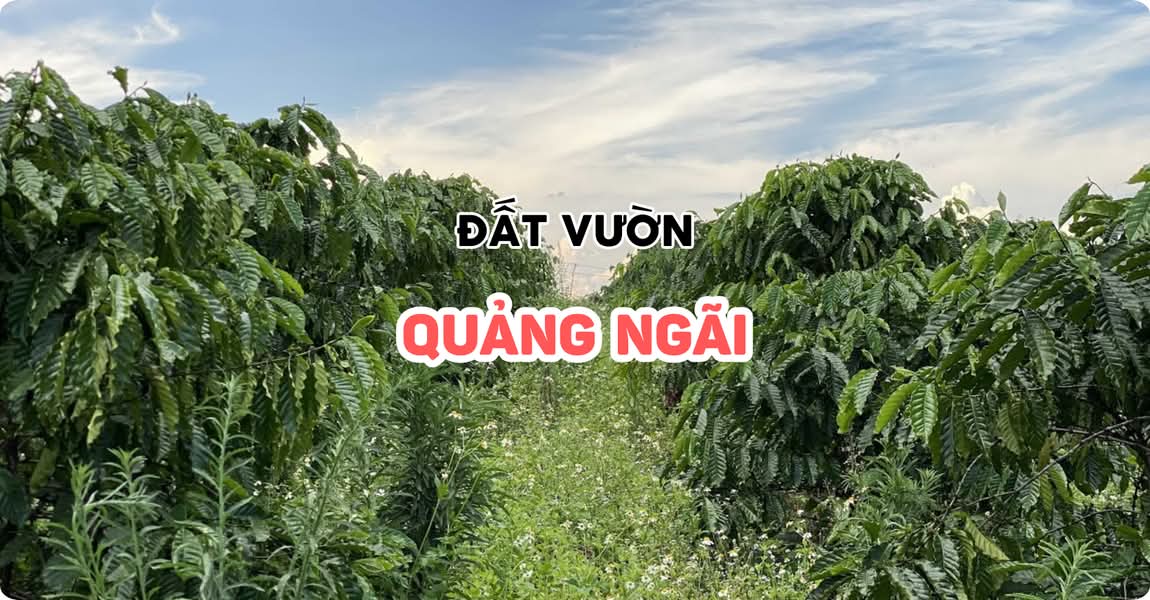 Đất vườn Quảng Ngãi