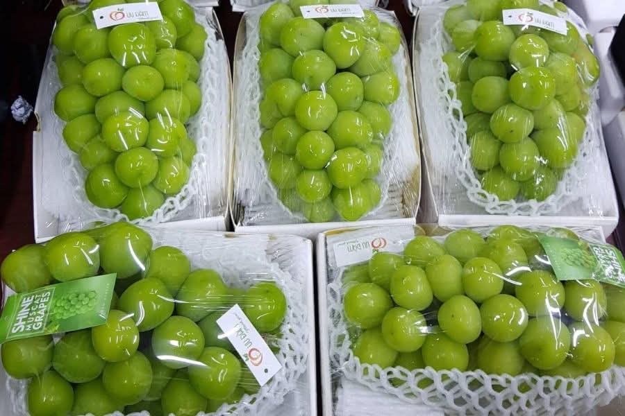 Giỏ Trái Cây Quà Tặng Sang Trọng Quận 1