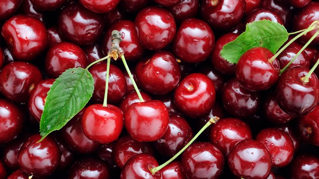 Hội Buôn Trái Cây Nhập Khẩu Sài Gòn