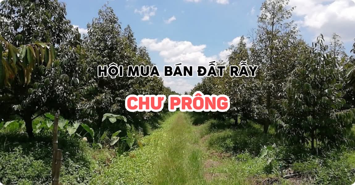 Hội mua bán đất rẫy Chư Prông Gia Lai