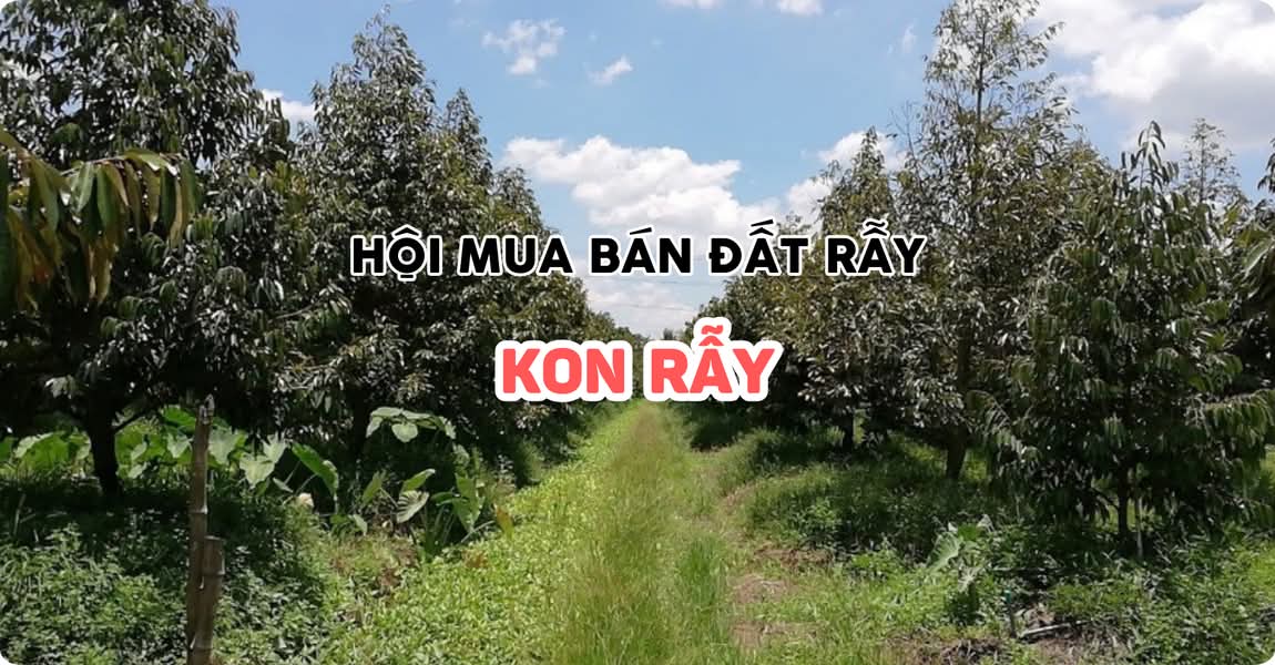 Hội mua bán đất rẫy Kon Rẫy Kon Tum