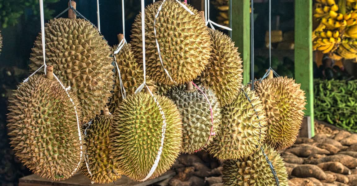 Hội Người Thích Ăn Sầu Riêng Nhập Khẩu TP HCM