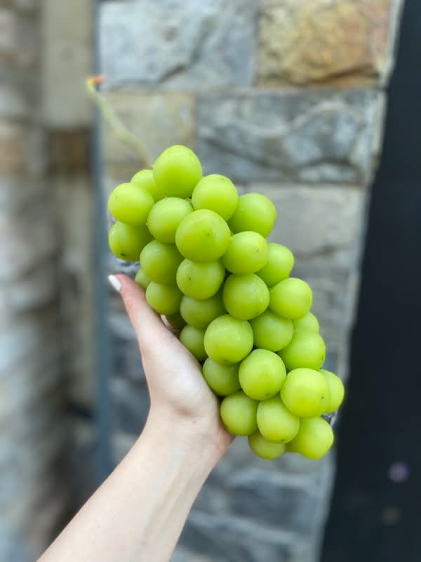 Hội thích ăn trái cây nhập khẩu