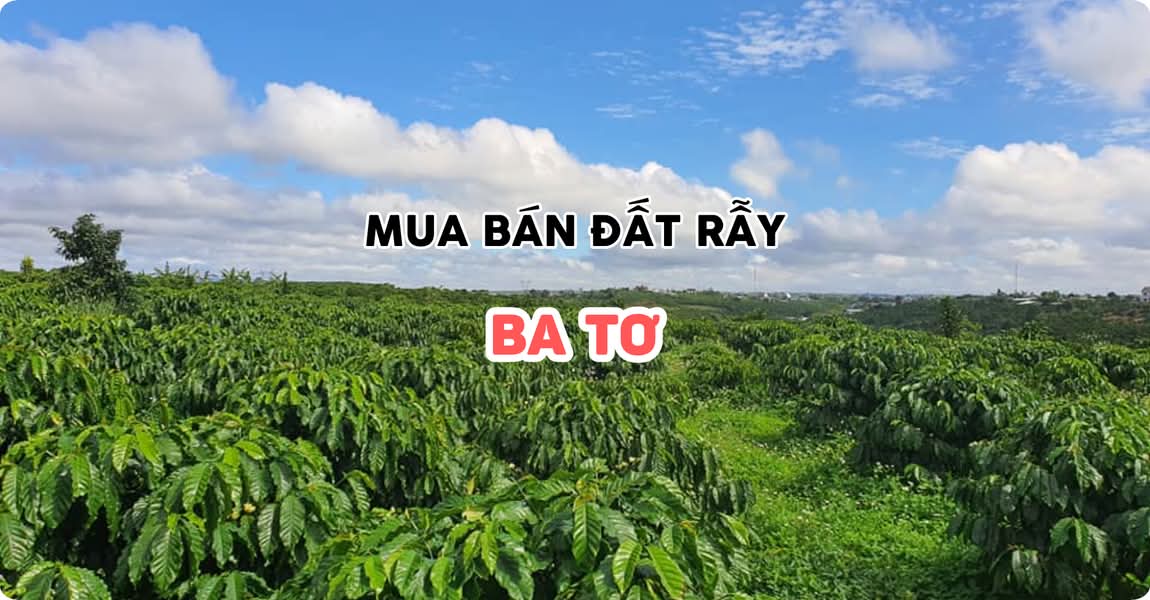 Mua bán đất rẫy Ba Tơ Quảng Ngãi