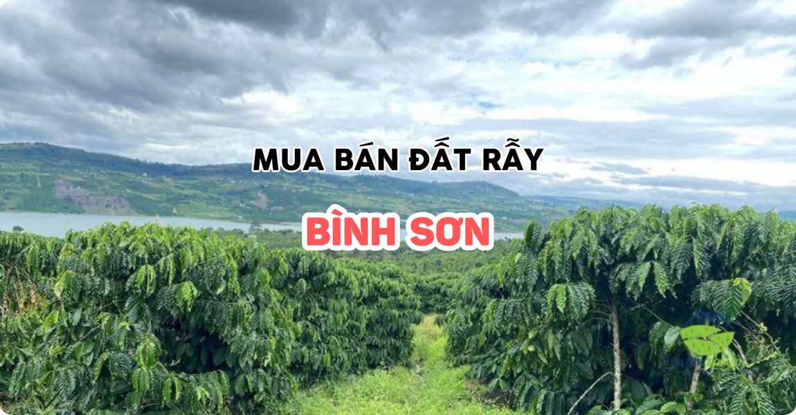 Mua bán đất rẫy Bình Sơn Quảng Ngãi
