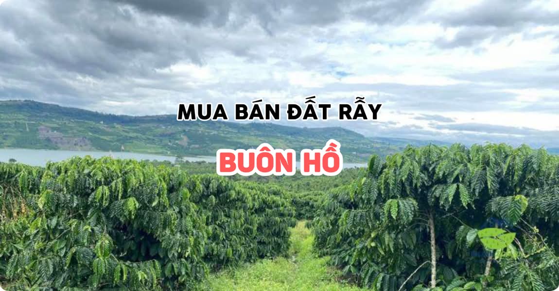 Mua bán đất rẫy Buôn Hồ Đắk Lắk