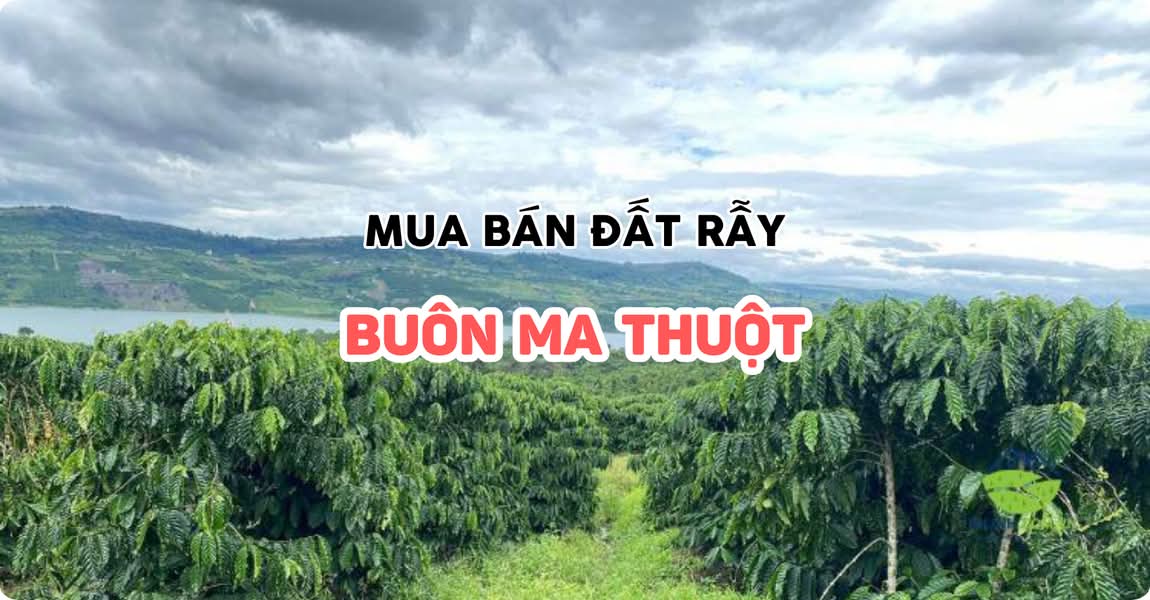 Mua bán đất rẫy Buôn Ma Thuột Đắk Lắk
