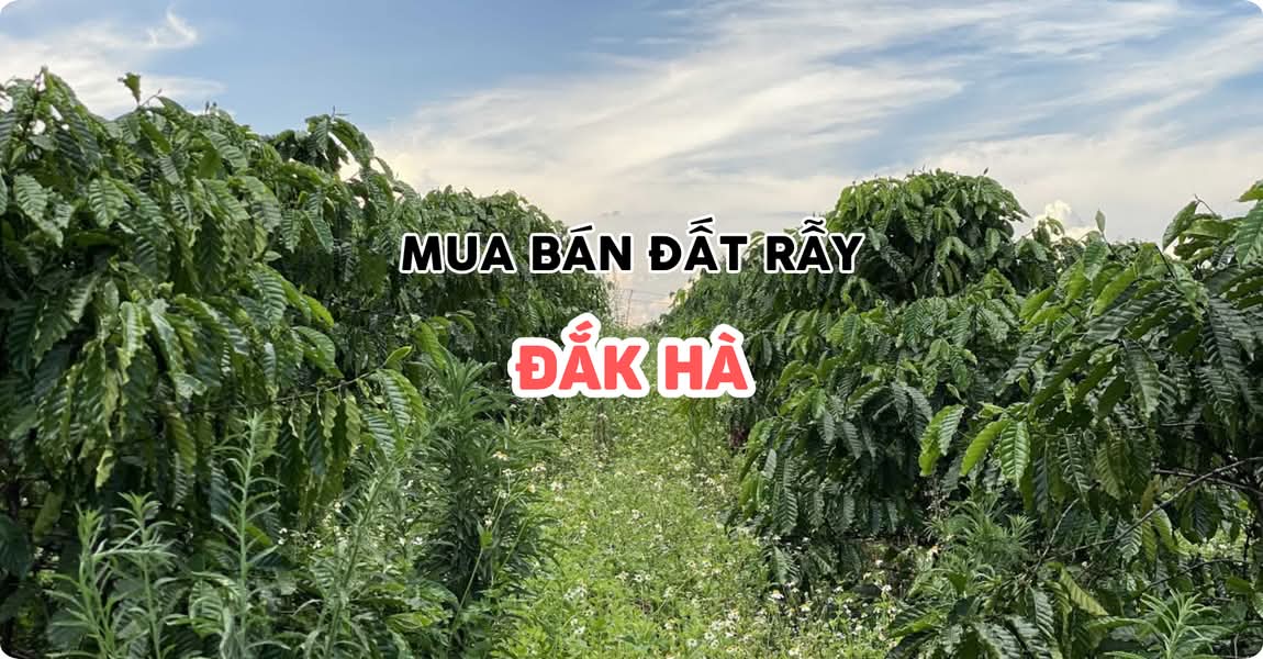 Mua bán đất rẫy Đắk Hà Kon Tum
