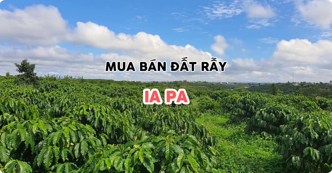 Mua bán đất rẫy Ia Pa Gia Lai