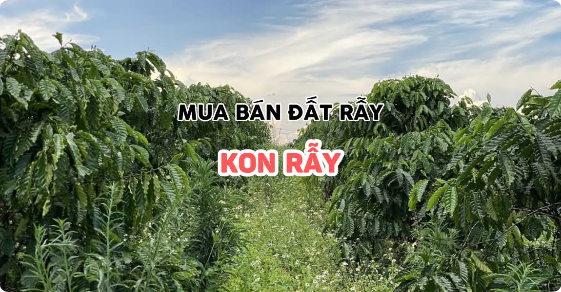 Mua bán đất rẫy Kon Rẫy Kon Tum