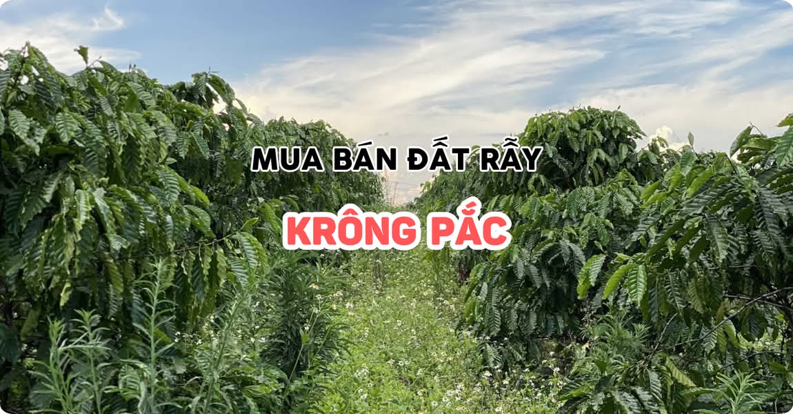 Mua bán đất rẫy Krông Pắc Đắk Lắk