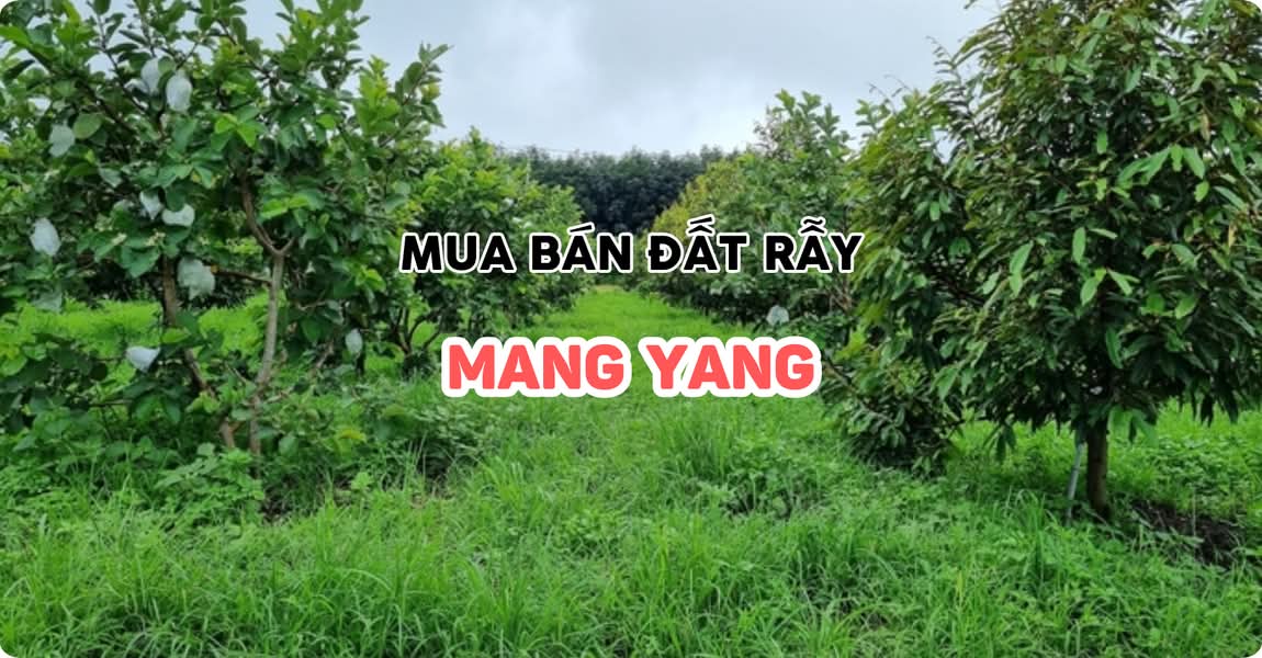 Mua bán đất rẫy Mang Yang Gia Lai