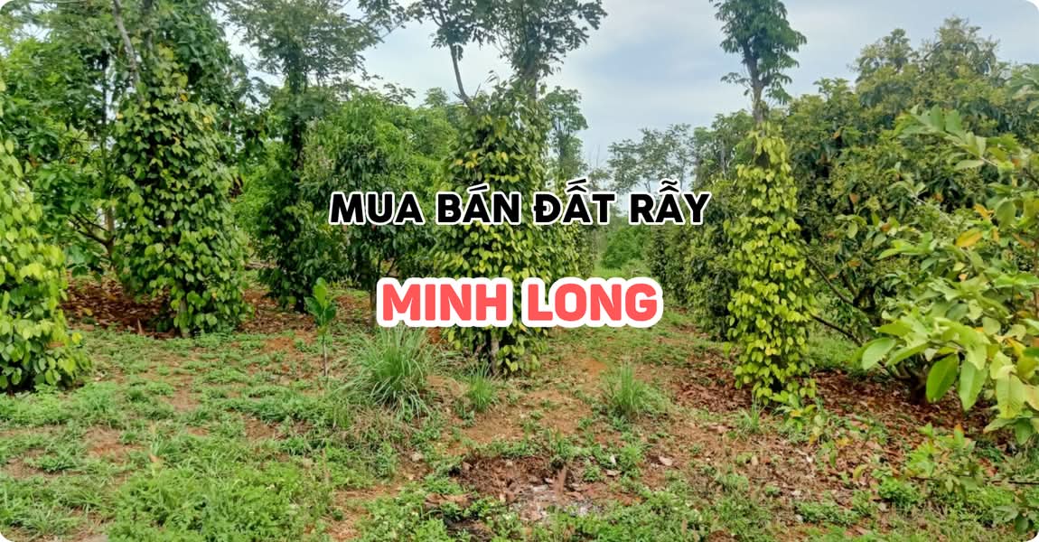 Mua bán đất rẫy Minh Long Quảng Ngãi