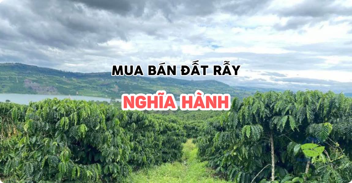 Mua bán đất rẫy Nghĩa Hành Quảng Ngãi