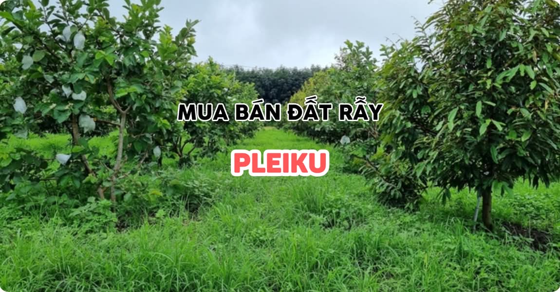 Mua bán đất rẫy Pleiku Gia Lai