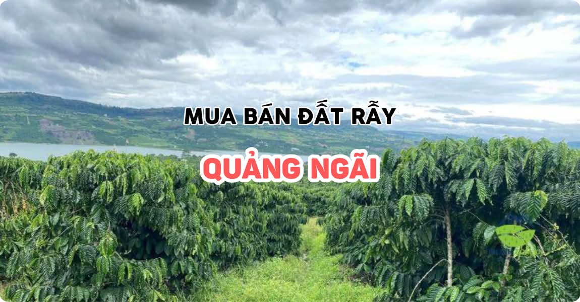 Mua bán đất rẫy Quảng Ngãi