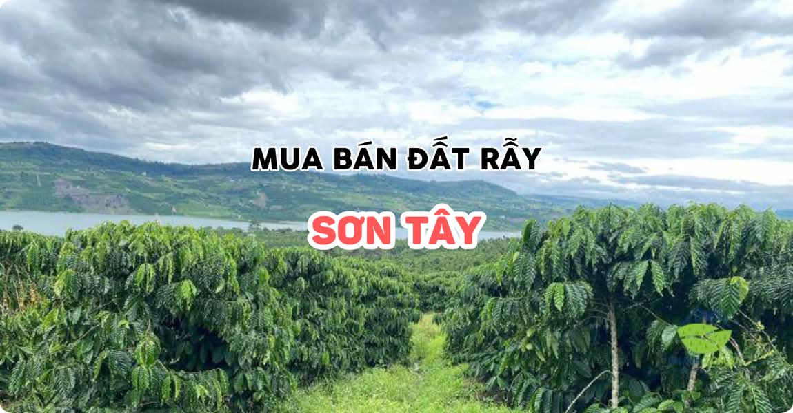 Mua bán đất rẫy Sơn Tây Quảng Ngãi