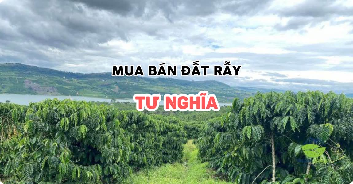 Mua bán đất rẫy Tư Nghĩa Quảng Ngãi