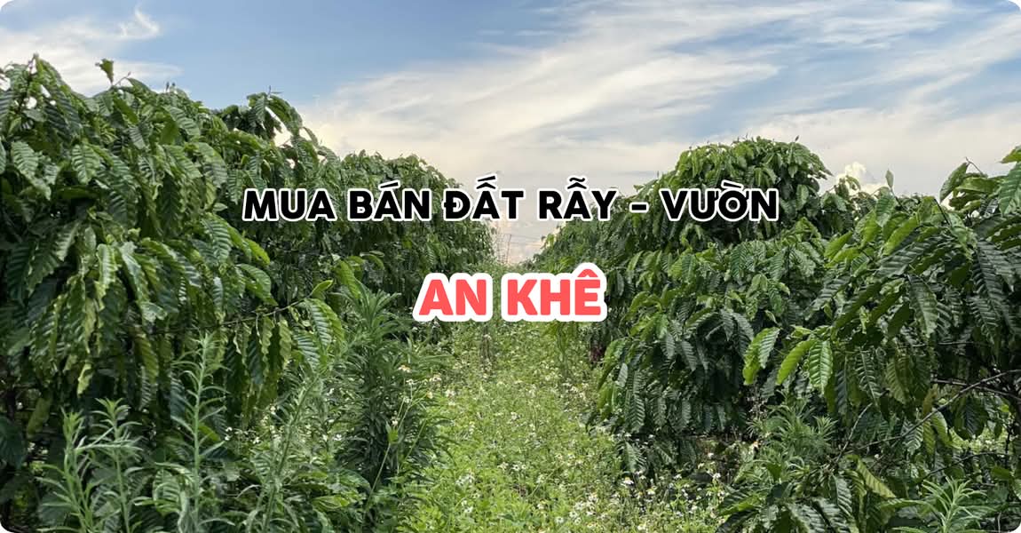 Mua bán đất rẫy - vườn An Khê Gia Lai