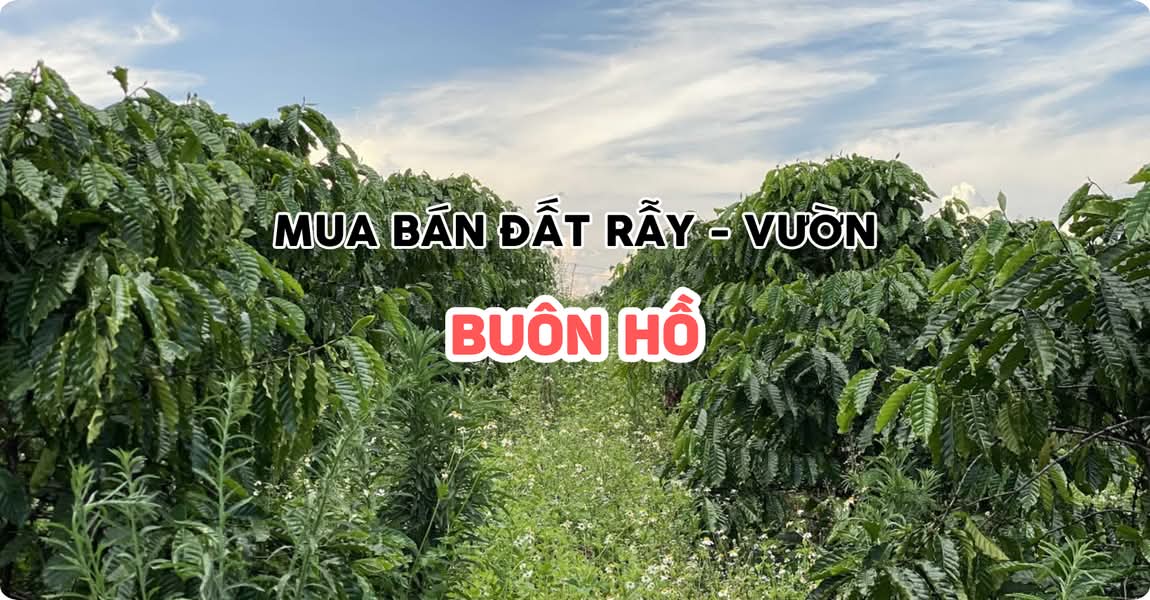 Mua bán đất rẫy - vườn Buôn Hồ Đắk Lắk