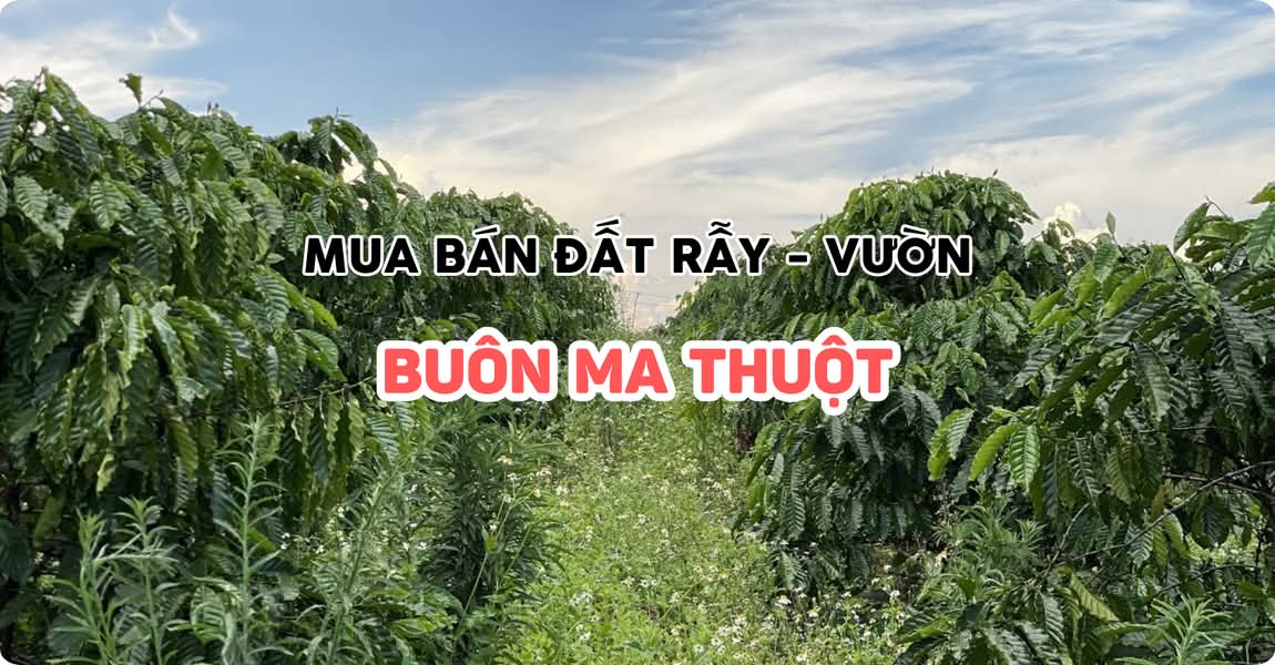 Mua bán đất rẫy - vườn Buôn Ma Thuột Đắk Lắk
