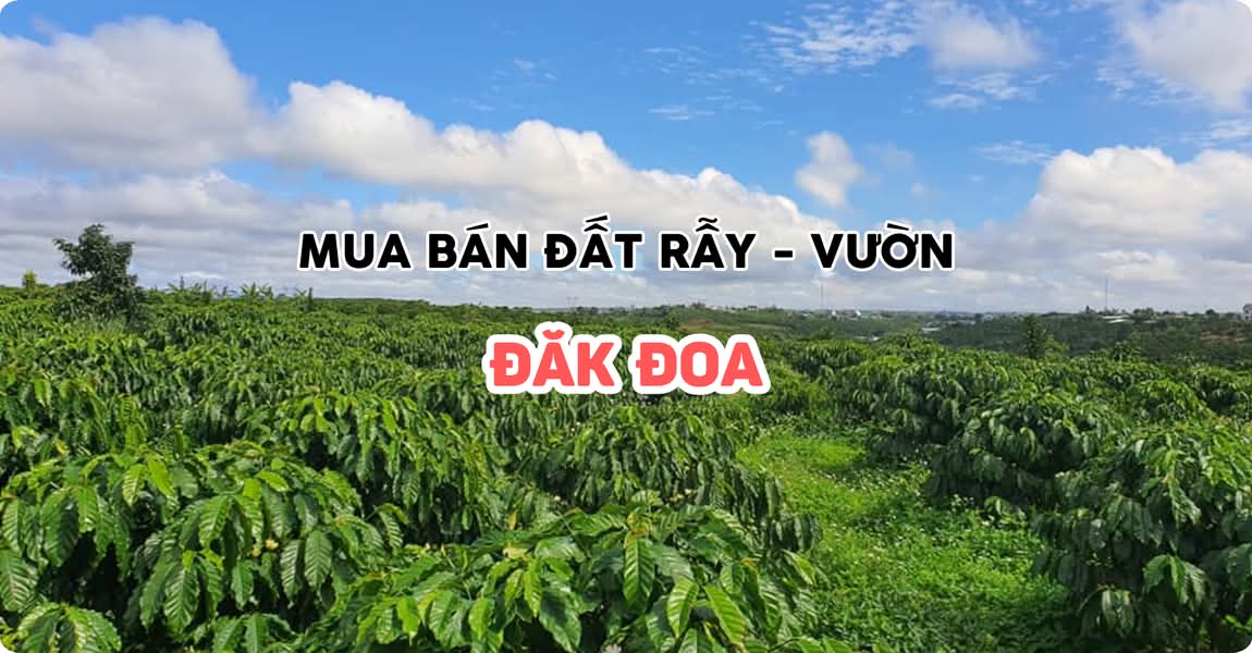 Mua bán đất rẫy - vườn Đăk Đoa Gia Lai