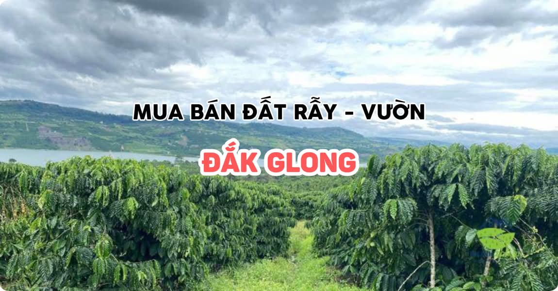 Mua bán đất rẫy - vườn Đắk Glong Đắk Nông