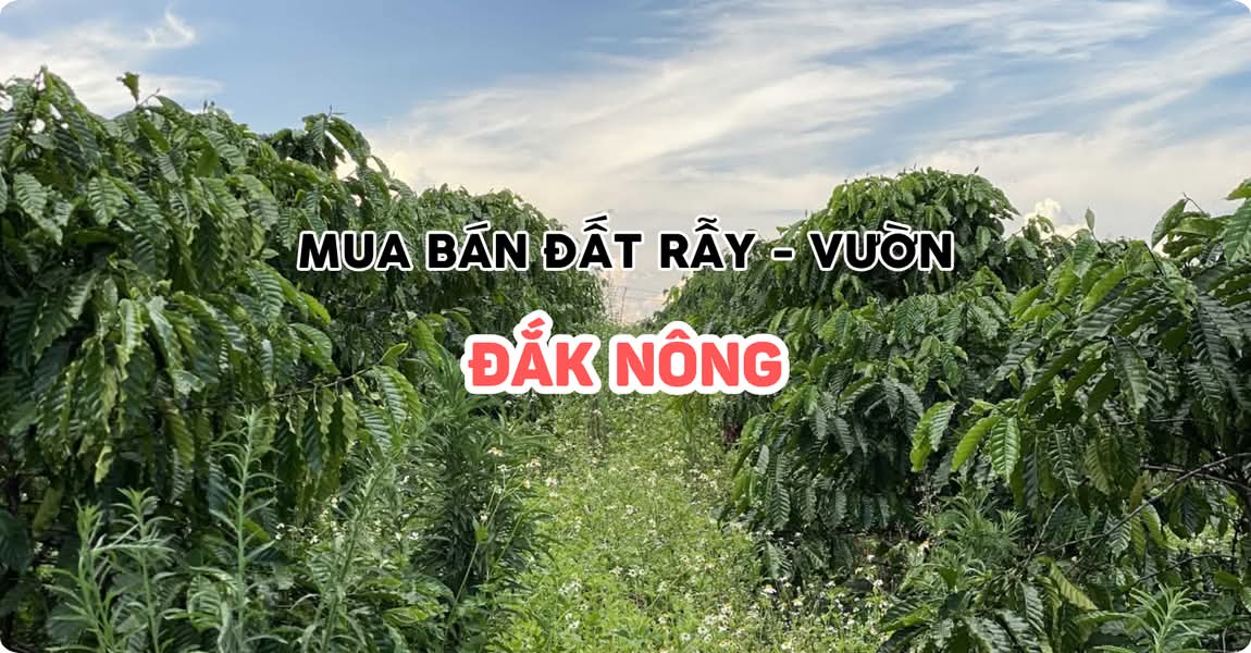 Mua bán đất rẫy - vườn Đắk Nông