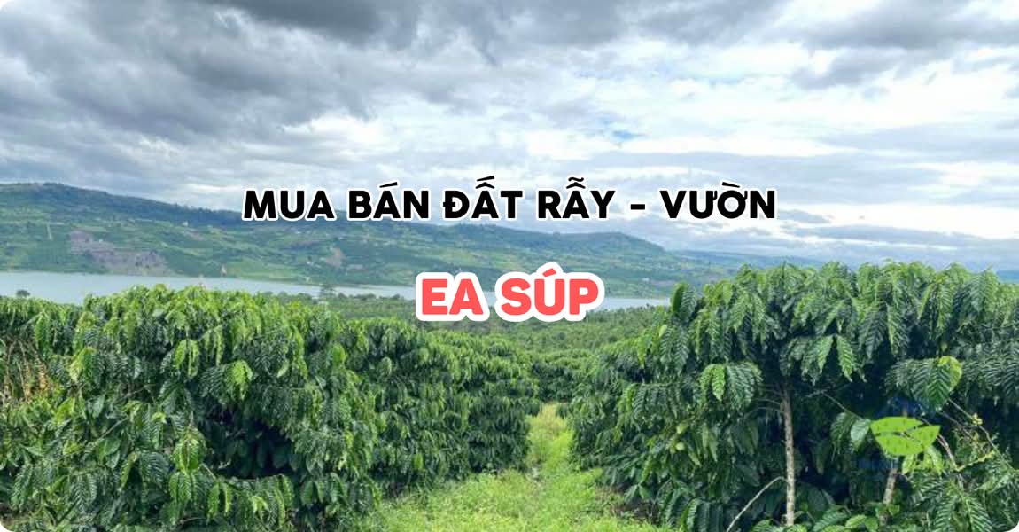 Mua bán đất rẫy - vườn Ea Súp Đắk Lắk