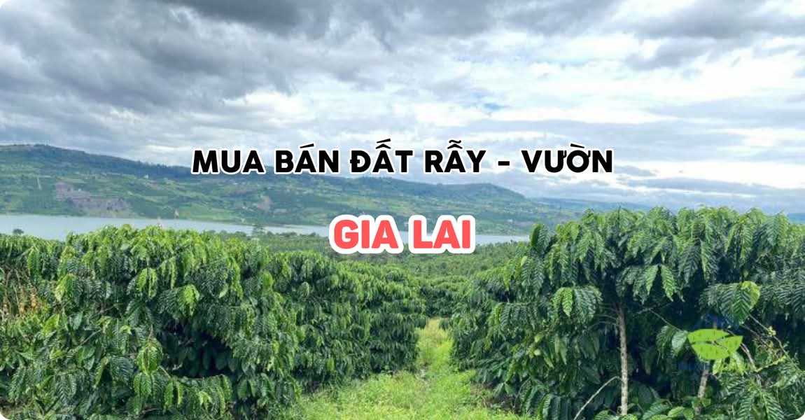 Mua bán đất rẫy - vườn Gia Lai