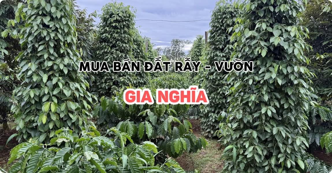 Mua bán đất rẫy - vườn Gia Nghĩa Đắk Nông