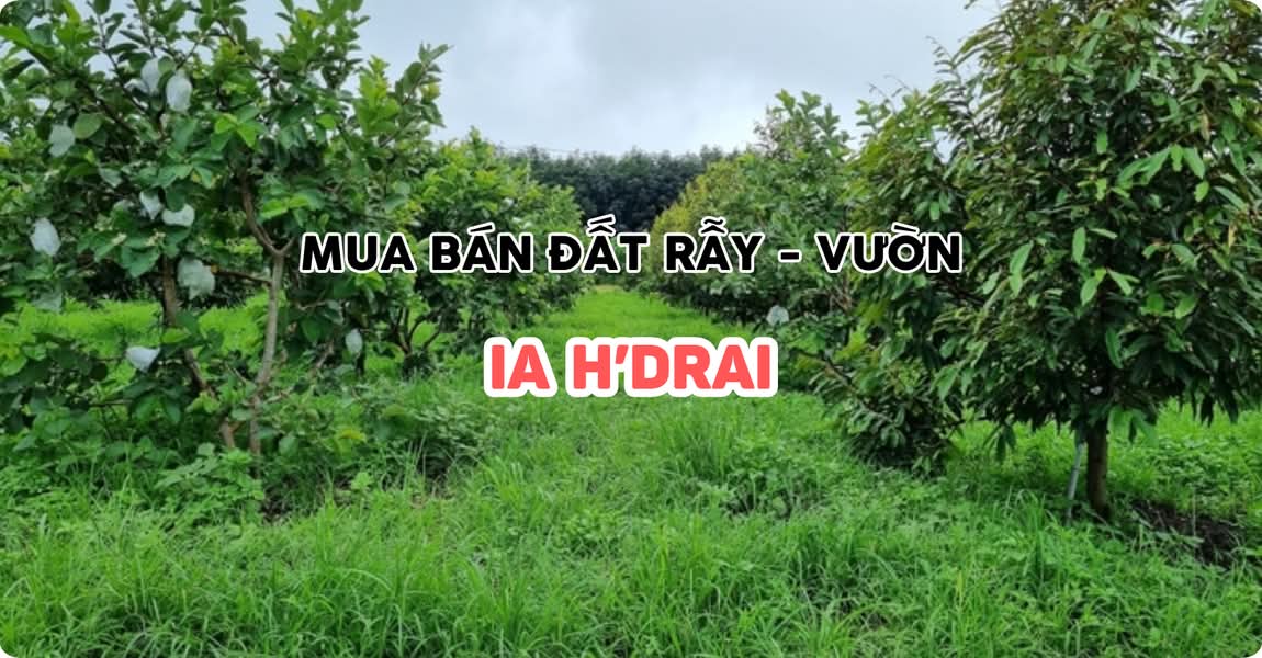 Mua bán đất rẫy - vườn Ia H’Drai Kon Tum