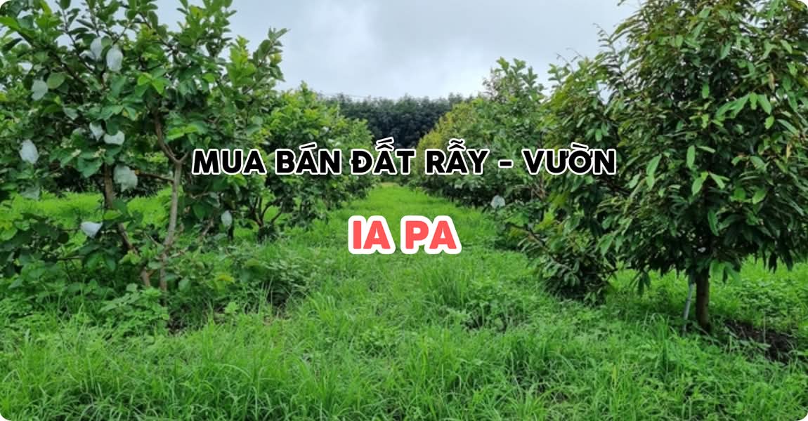 Mua bán đất rẫy - vườn Ia Pa Gia Lai
